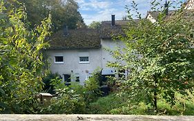 In Saarbrücken Stadtnahe gemütliche Wohnung am Deutsch-Französischen Garten